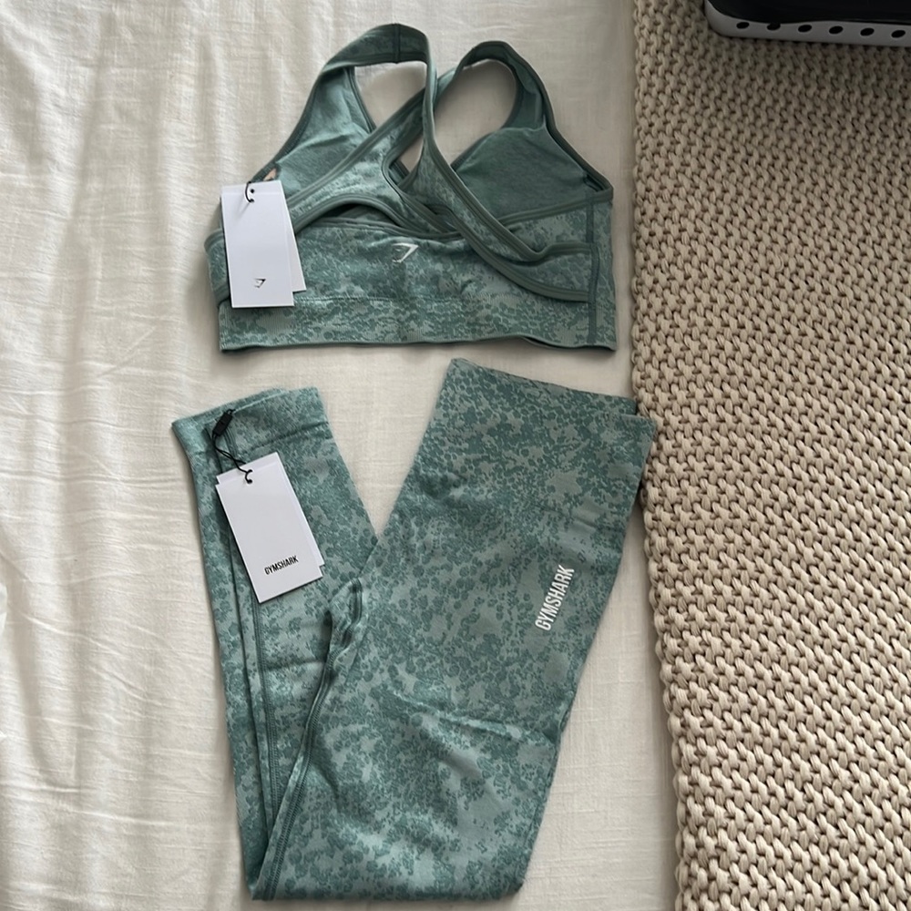 Gymshark adapt seamless legging and bra set